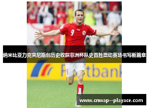 纳米比亚力克突尼斯创历史收获非洲杯队史首胜震动赛场书写新篇章